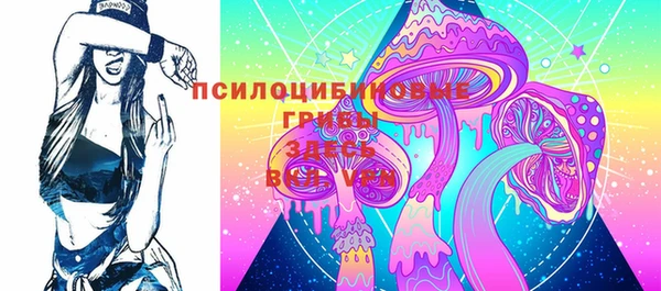 дурь Каменногорск