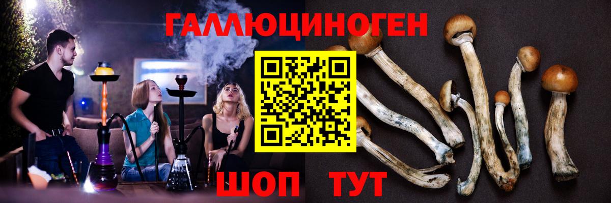 Галлюциногенные грибы MAGIC MUSHROOMS  Вход с VPN  Верхний Уфалей  Псилоцибиновые грибы мухоморы 