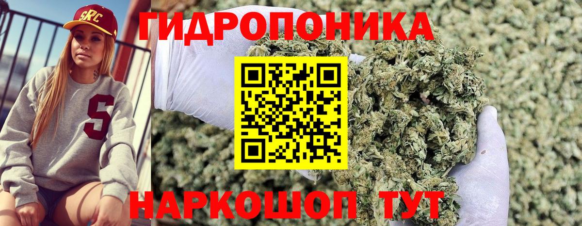 Конопля сатива  МАРИХУАНА конопля  Верхний Уфалей  Бошки марихуана White Widow  Вход с VPN  Шишки марихуана White Widow 
